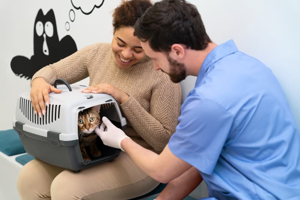 Veterinario atendiendo mascota